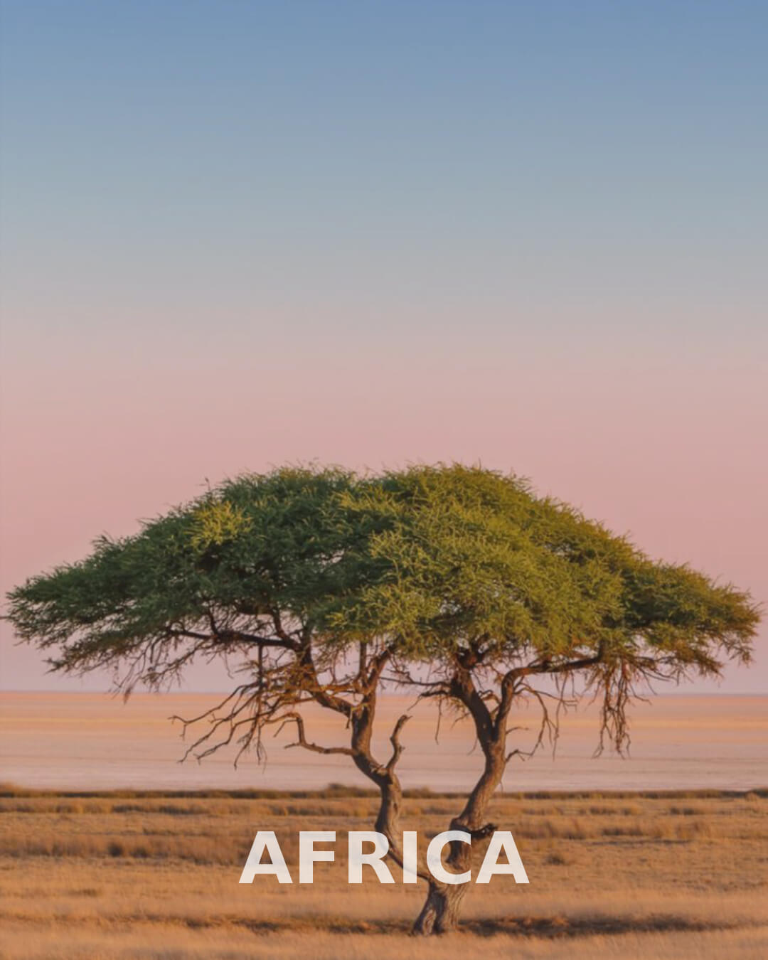 Africa